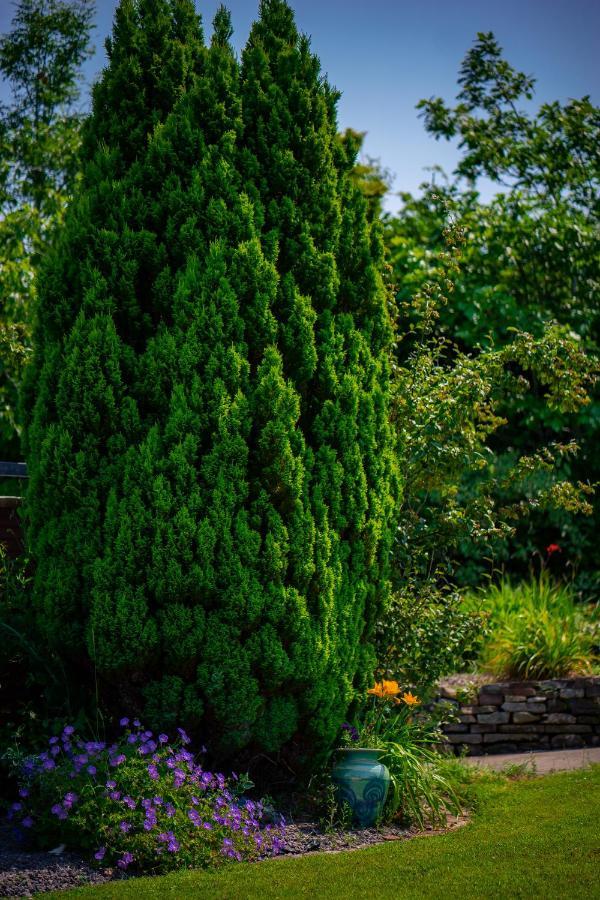 Park Lodge Accommodation Abbeyfeale Bagian luar foto